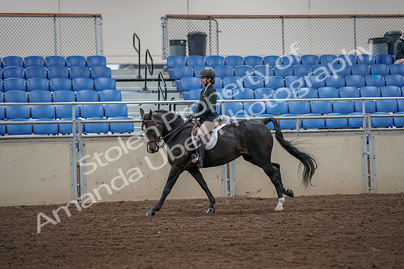 2019 Morgan Horse Show - Aug 31, 2019 - 05029