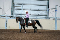 2020 - AB Morgan Horse - Fri, Sept 04 - 00536