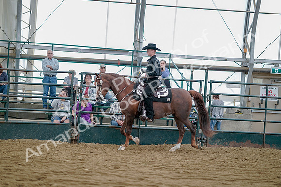 July 21, 2019 - 09032