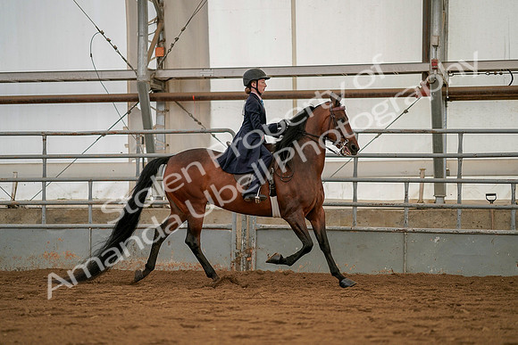 July 19, 2019 - 4038