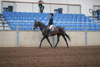 2019 Morgan Horse Show - Sept 01, 2019 - 03656