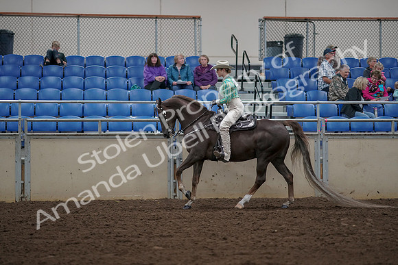 2019 Morgan Horse Show - Aug 30, 2019 - 26081