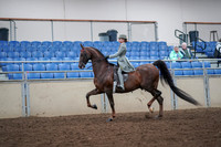 2019 Morgan Horse Show - Aug 30, 2019 - 17780