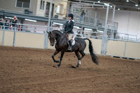 2020 - AB Morgan Horse - Fri, Sept 04 - 05796