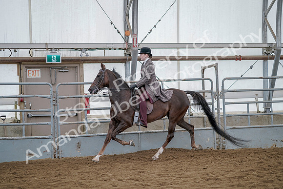 July 20, 2019 - 14635