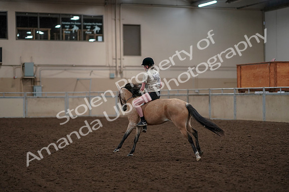 2019 Morgan Horse Show - Aug 30, 2019 - 31253