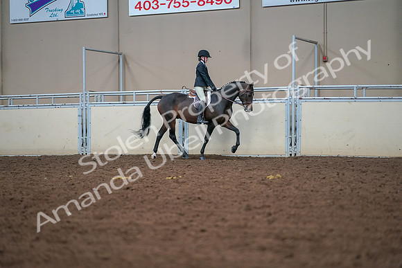 2019 Morgan Horse Show - Aug 30, 2019 - 20876