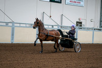 2020 - AB Morgan Horse - Fri, Sept 04 - 01057
