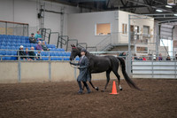 2019 Morgan Horse Show - Aug 31, 2019 - 02101