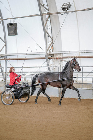 July 20, 2019 - 08772