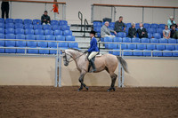 2020 - AB Morgan Horse - Fri, Sept 04 - 10342