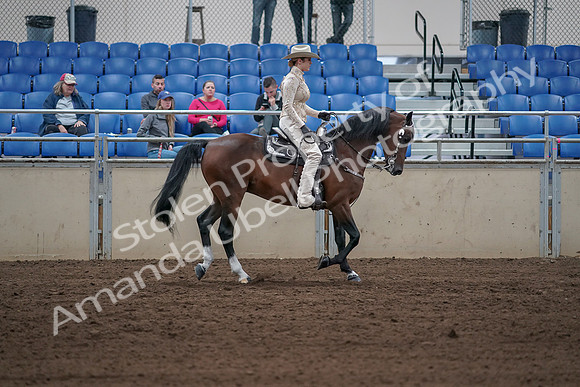 2019 Morgan Horse Show - Sept 01, 2019 - 07188
