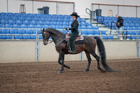2019 Morgan Horse Show - Sept 01, 2019 - 11195