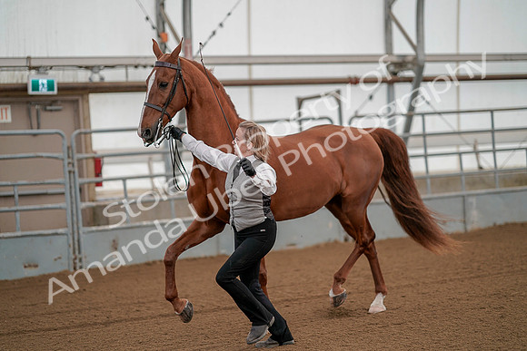 July 19, 2019 - 97