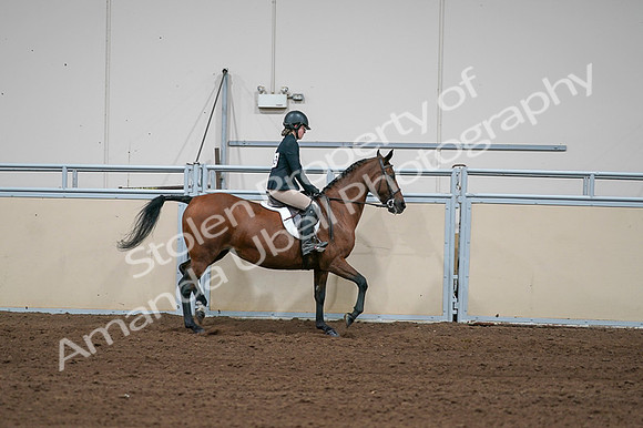 2020 - AB Morgan Horse - Fri, Sept 04 - 02140