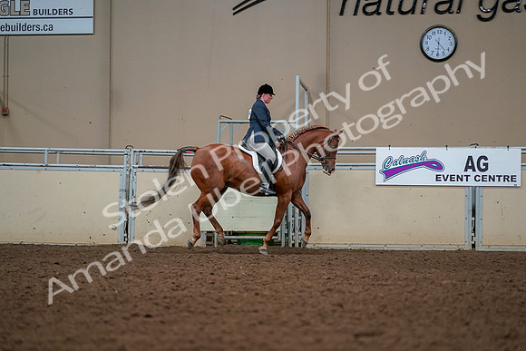 2019 Morgan Horse Show - Aug 30, 2019 - 22560