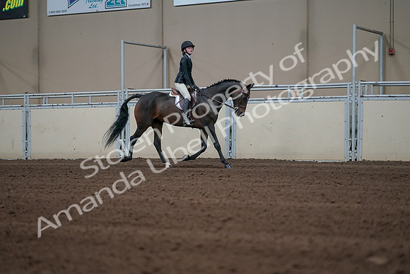 2019 Morgan Horse Show - Sept 01, 2019 - 03841
