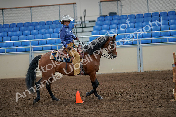 2020 - AB Morgan Horse - Fri, Sept 04 - 00283