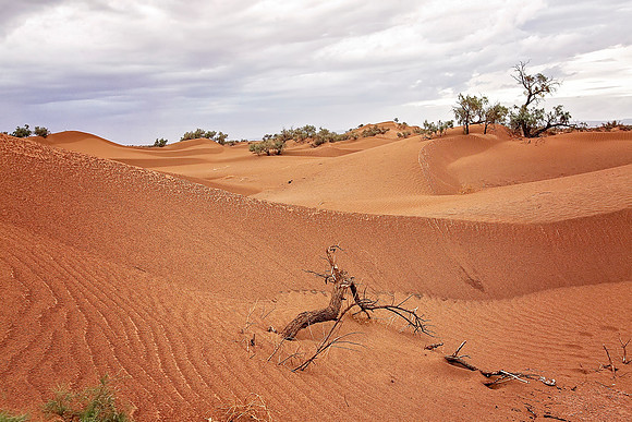 Morocco - 103
