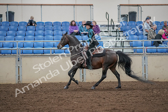 2019 Morgan Horse Show - Aug 30, 2019 - 26092