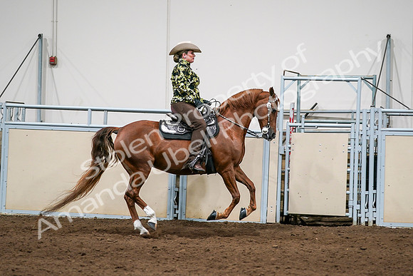 2020 - AB Morgan Horse - Sat, Sept 05 - 08934