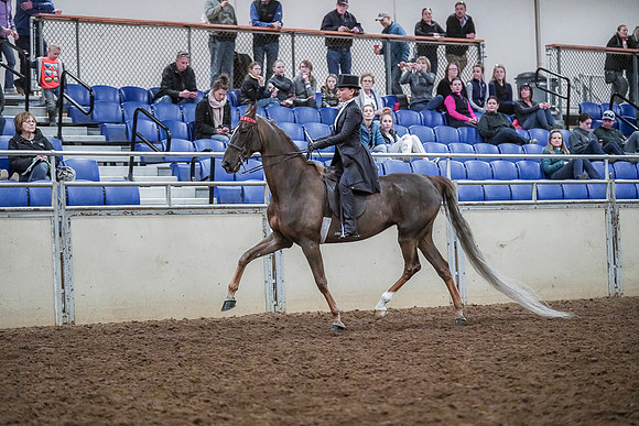 Spring Fling - Saturday - April 20, 2019  -  04092