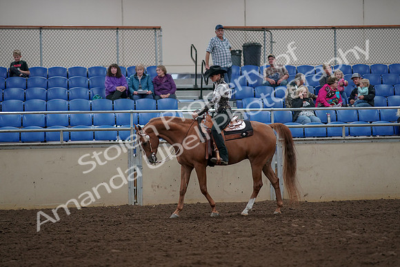 2019 Morgan Horse Show - Aug 30, 2019 - 26014