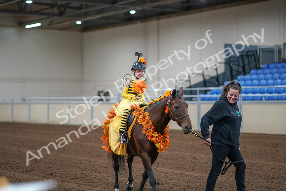 2020 - AB Morgan Horse - Sat, Sept 05 - 05782