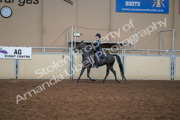 2019 Morgan Horse Show - Aug 30, 2019 - 12231