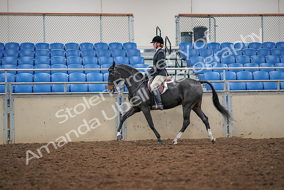 2019 Morgan Horse Show - Aug 30, 2019 - 23295