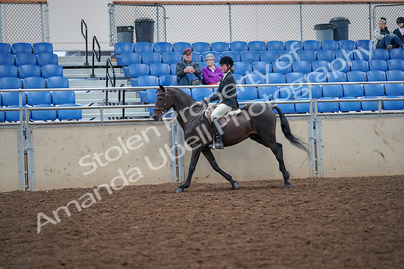 2019 Morgan Horse Show - Aug 30, 2019 - 20645