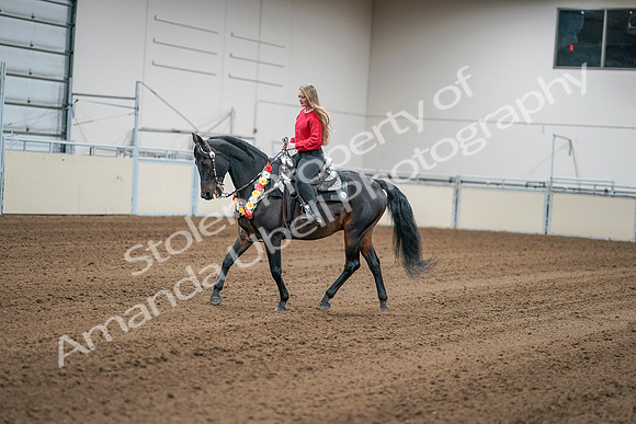 2020 - AB Morgan Horse - Sat, Sept 05 - 10390