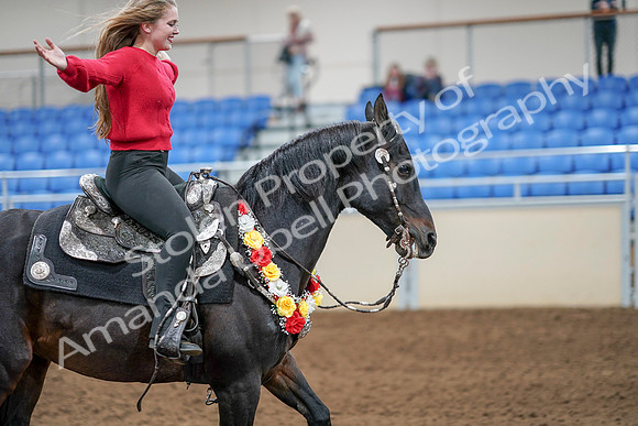 2020 - AB Morgan Horse - Sat, Sept 05 - 10568