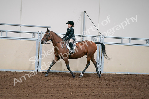 2020 - AB Morgan Horse - Fri, Sept 04 - 02056