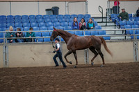 2019 Morgan Horse Show - Aug 31, 2019 - 02596