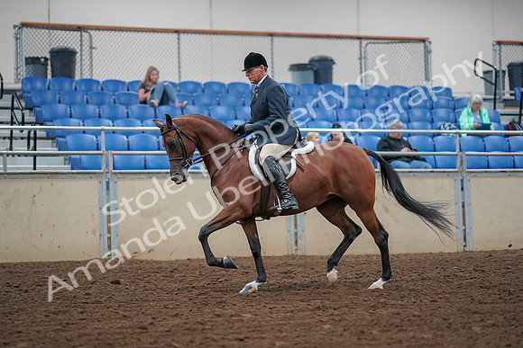 2019 Morgan Horse Show - Aug 30, 2019 - 16121
