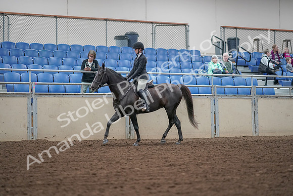 2019 Morgan Horse Show - Aug 30, 2019 - 14877