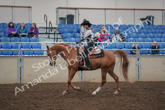 2019 Morgan Horse Show - Aug 30, 2019 - 26105