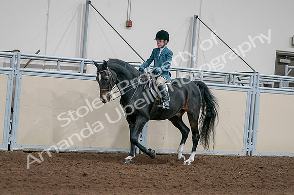 2020 - AB Morgan Horse - Fri, Sept 04 - 07752
