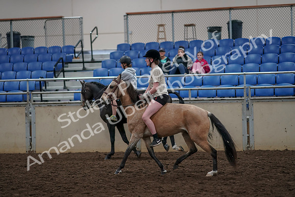 2019 Morgan Horse Show - Aug 30, 2019 - 31244