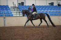 2019 Morgan Horse Show - Aug 30, 2019 - 19875
