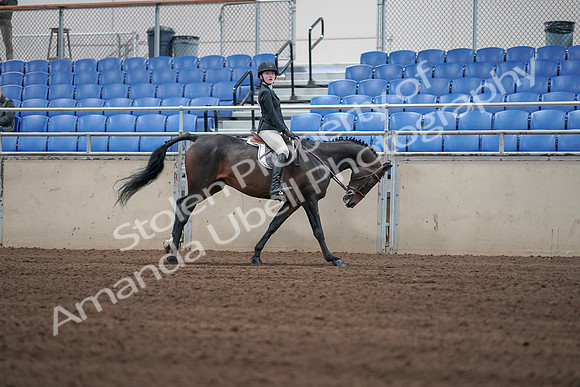 2019 Morgan Horse Show - Sept 01, 2019 - 03882