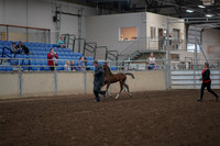 2019 Morgan Horse Show - Aug 31, 2019 - 00360