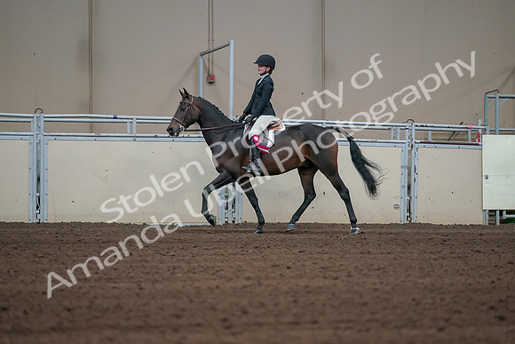 2019 Morgan Horse Show - Sept 01, 2019 - 03976