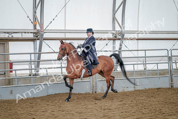 July 20, 2019 - 13687