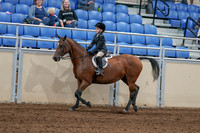 2020 - AB Morgan Horse - Sat, Sept 05 - 10618