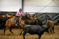 Herd Work - Novice Non Pro