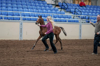 2020 - AB Morgan Horse - Sat, Sept 05 - 00469