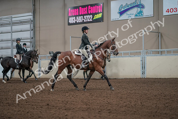 2019 Morgan Horse Show - Aug 31, 2019 - 05189