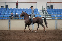 2019 Morgan Horse Show - Aug 31, 2019 - 07152